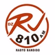 Radyo Bandido - DZRJ logo