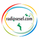 Radiosesel logo