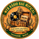 Logo de WEB RÁDIO BAÚ MUSICAL