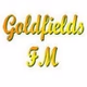 Goldfields FM 99.1 FM logo