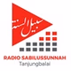 Radio Ihyaa Ussunnah logo