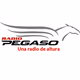 Logo de True Life In God Radio Nepali