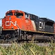 Logo de Canadian National Rail - Neenah and Waukesha Subdivisions