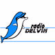 Logo de Delvin Radio