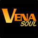 Logo de Central City Radio - VENA SOUL