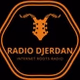 Radio Djerdan logo