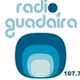 Radio Guadaíra logo