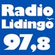 Radio Lidingö logo