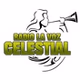 Radio La Voz Celestial logo