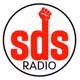 Logo de SDS GLOBAL RADIO