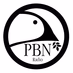 Logo de Praise Broadcast Network