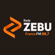 Rádio Zebu 88.7 logo