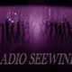 Logo de Radio Seewind