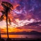 Smooth Jazz Sunset logo