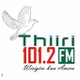 Thiiri 101.2FM logo