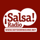 Logo de Salsa Radio Dominicana
