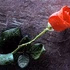 LA Radio Romantica logo