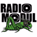Logo de Radio Modul