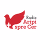 Logo de Radio Crestin Aripi Spre Cer - International