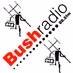 Logo de Bush Radio