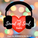 WTSS -- The Sound of Soul logo