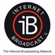 The iB Network logo