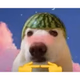 Fora de contexto logo