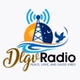 DLGV Radio logo
