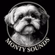 Monty Sounds Radio logo