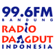 Logo de RDI 99.6 FM