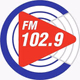 Logo de Rádio Chopinzinho FM