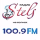 Стелс logo