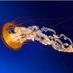 Str8CastRadio Real Radio One logo