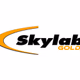 Logo de Radio Skylab - Skylab Gold