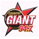 94.7 The Country Giant - WGSQ logo