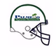 Palmetto Sports Network logo