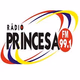 Logo de Rádio Princesa FM