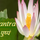 Logo de Bhagvad Gita Radio