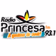 Logo de Princesa FM 93.1