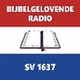 Bijbelgelovende Radio logo
