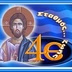 4E logo