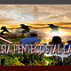 Logo de Iglesia Pentecostal La Roca