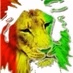 Logo de Ethnafrica.net Webradio