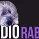 Logo de Radio Raban