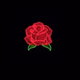 Logo de Pop Vibe
