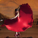 Logo de Miled Music - Flamenco