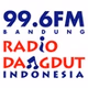 RDI 99.6 FM logo
