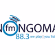 Logo de Nongoma FM