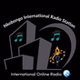Nkobongo International Radio Station logo