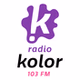 Radio Kolor 103 FM logo
